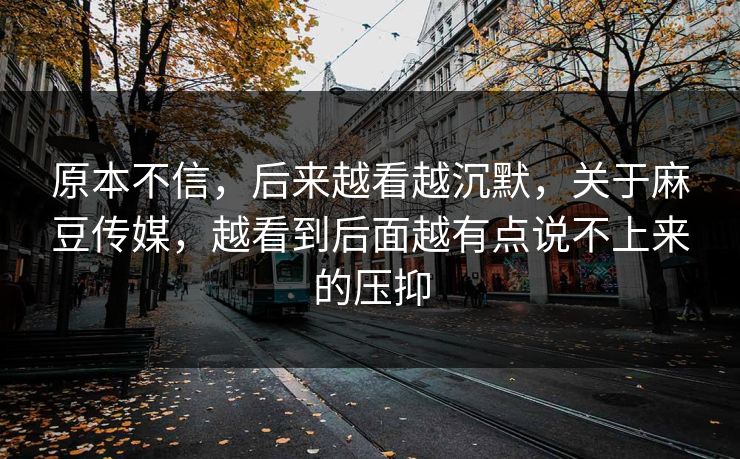 原本不信，后来越看越沉默，关于麻豆传媒，越看到后面越有点说不上来的压抑