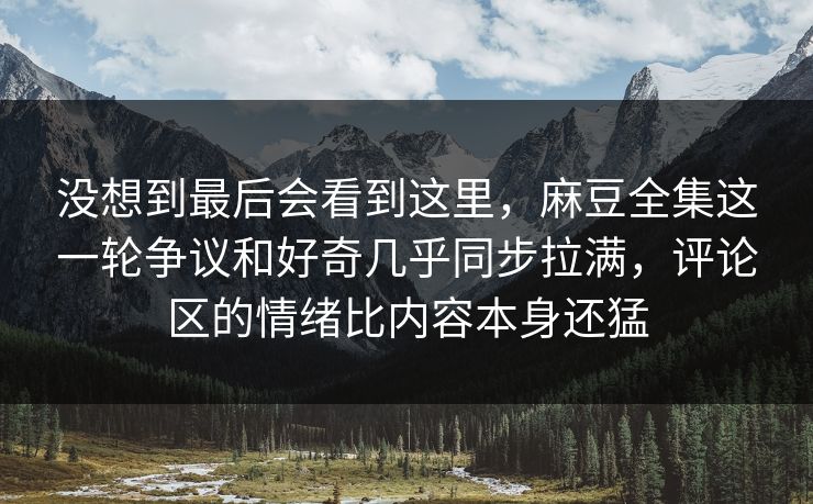 没想到最后会看到这里，麻豆全集这一轮争议和好奇几乎同步拉满，评论区的情绪比内容本身还猛